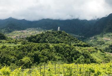 The view from the Madeira Institute Winery