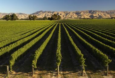 Marlborough, New Zealand