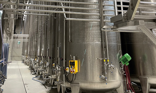 Winzer Krems' new winery facility played a key role in handling the rapid harvest efficiently. (Photo: Vincent Meßmer)