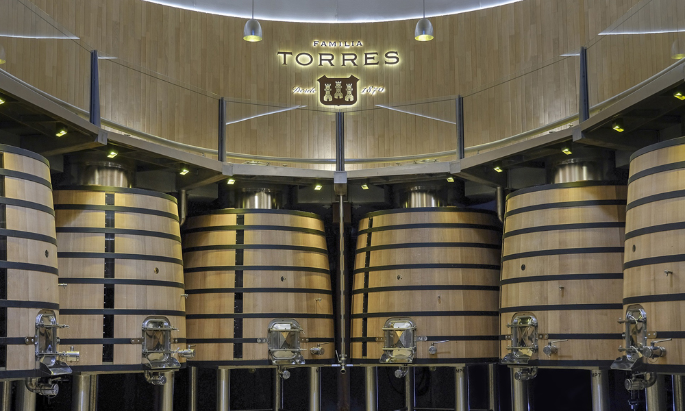 Familia Torres, based in Spain’s Penedès region, expects a positive financial outcome for 2024. (Photo: Familia Torres)