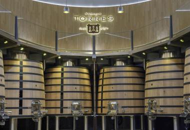 Familia Torres, based in Spain’s Penedès region, expects a positive financial outcome for 2024. (Photo: Familia Torres)