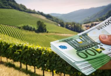 Penalties are due for neglected vineyards (Photo: generated with Firefly AI)