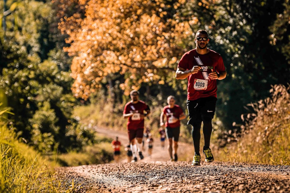 Half marathon in a Brazilian wine region