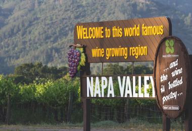 The harvest in the USA has not been large, but the winegrowers are very satisfied with the quality (Photo: wollertz/stock.adobe.com)