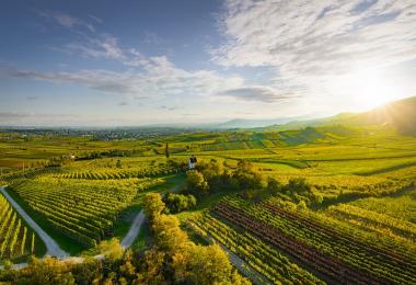 Thermenregion Traiskirchen (Photo: ÖWM/WSNA)