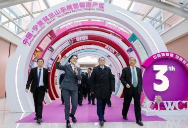 Officials at the 3rd China International Wine Competition (Ningxia 2023)