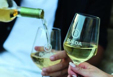 The geographical link of the Godello grape variety is insufficient. (Photo: DO Rueda)