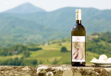 Gavi 