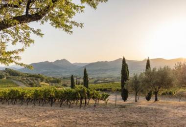 The Rhône Valley