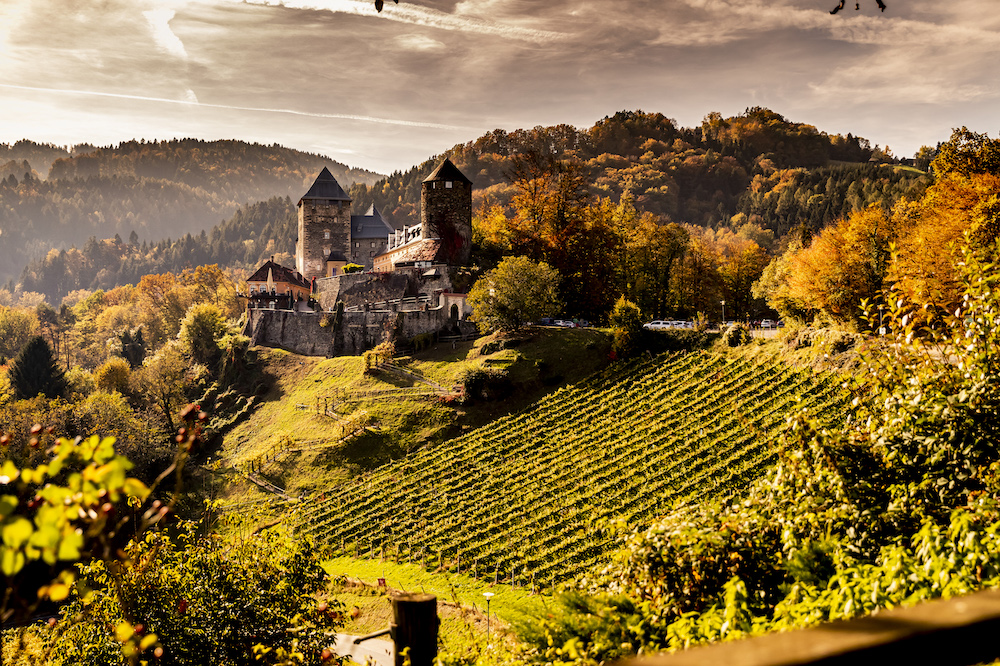 Ried Deutschlandsberg, Weststeiermark (Photo: ÖWM/Robert Herbst)