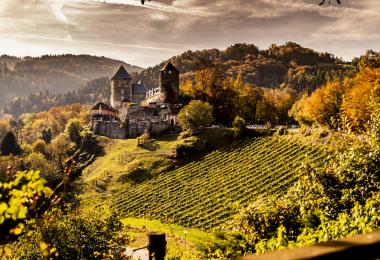 Ried Deutschlandsberg, Weststeiermark (Photo: ÖWM/Robert Herbst)