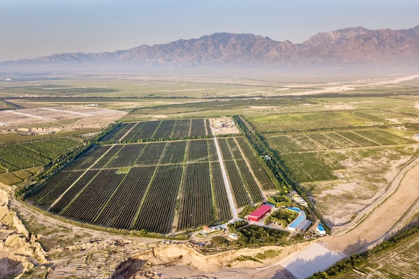 Silver Heights estate in the Helan Mountain foothills