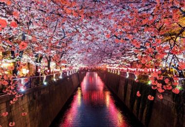 Photo by Sora Sagano on Unsplash