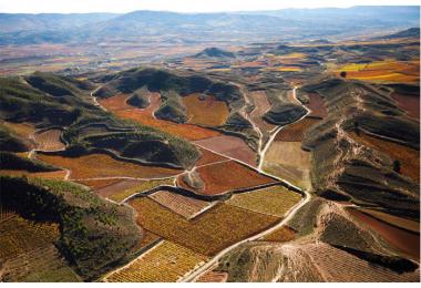 Terroir dynamicy in rioja - New rules, new wines