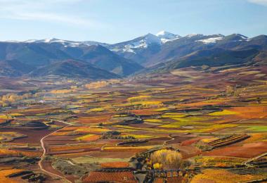 Rioja - Flagship on the move