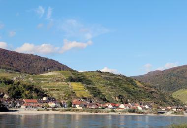 Vineyards overlooking the Danube in the Wachau