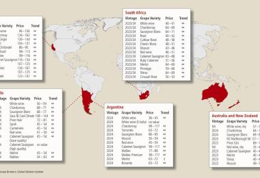 Source: Ciatti Global Wine & Grape Brokers, Global Market Update. Export prices in €/hl, based on exchange rates from August 19, 2024.