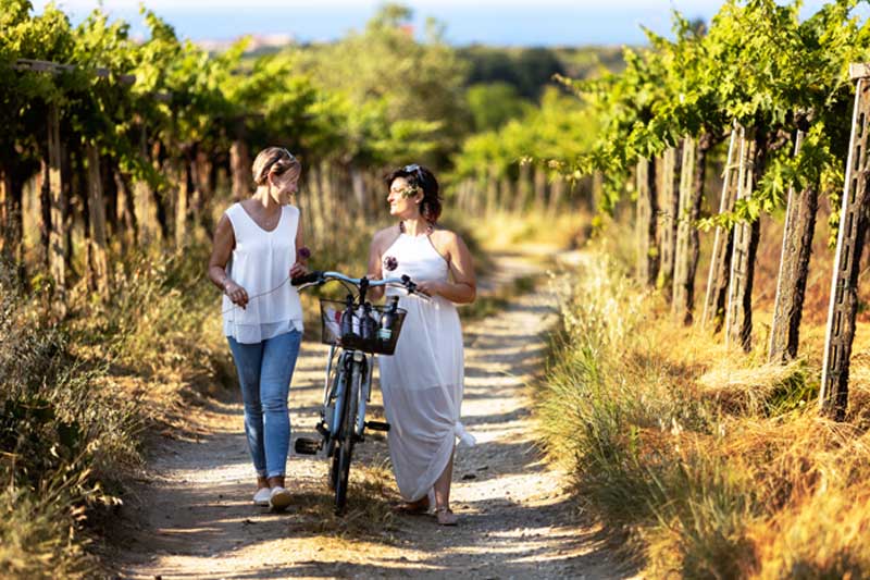 Pride in the traditional pergola of Abruzza at Feudo Antico