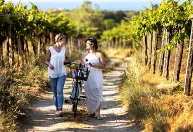 Pride in the traditional pergola of Abruzza at Feudo Antico