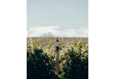 Born at the foot of the Andes, Trapiche Reserve embodies a gifted terroir.