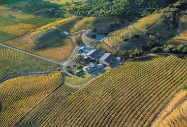 In Napa Valley, wineries have long been inviting tourists to visit them