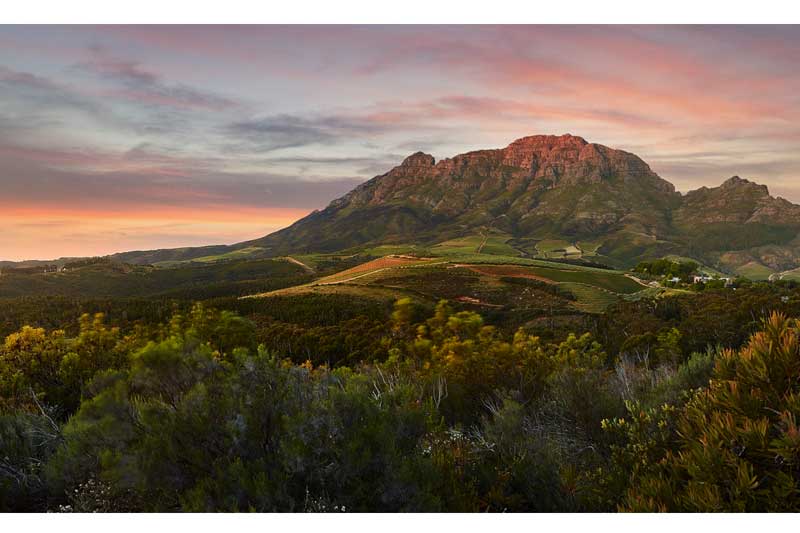 Behind the beautiful backdrop , the Cape wine industry confronts its challenges