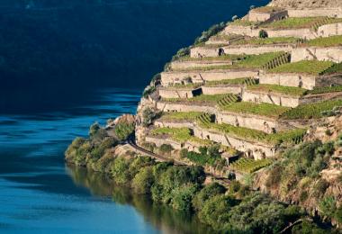 Wine professionals can taste 200 Douro wines in July