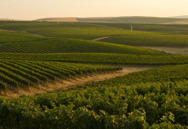 Washington State: Fertile and green in the west, dry and warm in the eastern regions 