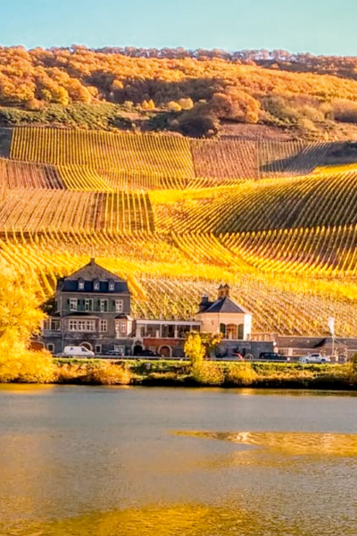 The Dr. Loosen winery is organising a Wine & Dine.