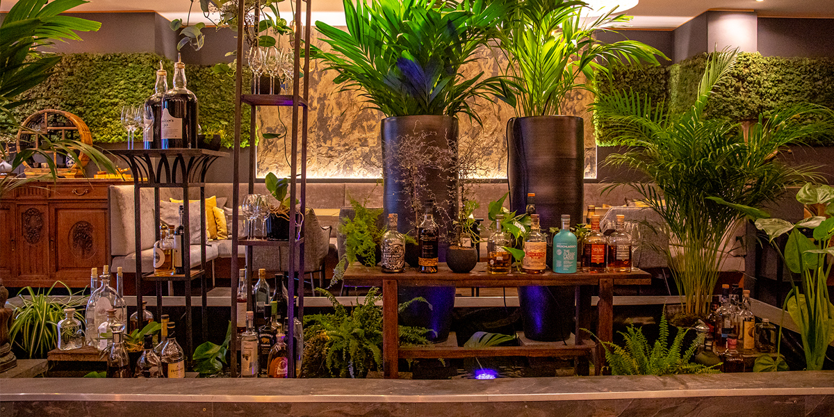 At Agata’s, you can enjoy a relaxed but sophisticated culinary experience.