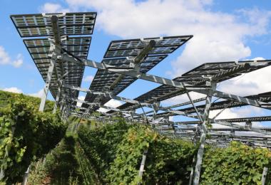 Efficient use of land can contribute to climate change. (Photo: Hochschule Geisenheim University/Stieffenhofer)