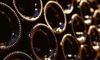 Germany will have 12.4m hl of wine stock in 2024 (Photo: Calin-Andrei STAN/stock.adobe.com)
