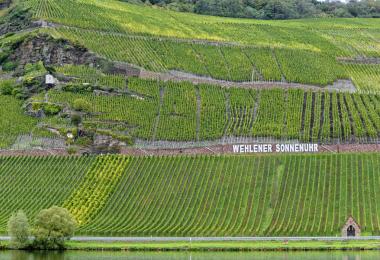 Erni Loosen introduces three exclusive Mosel Rieslings to the Place de Bordeaux. (Photo: photongrandcru/stock.adobe.com)