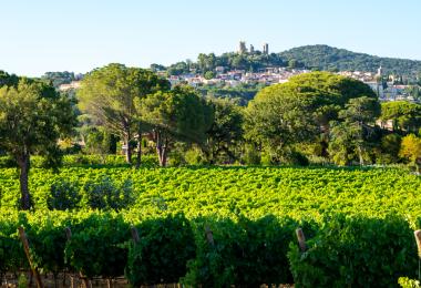 The Var region near Saint-Tropez seems to exert a great attraction on wine-loving Hollywood stars. (Photo: barmalini/stock.adobe.com)