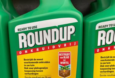 Roundup is probably the best-known herbicide and is often used as a synonym for glyphosate (Photo: Ralf/stock.adobe.com)