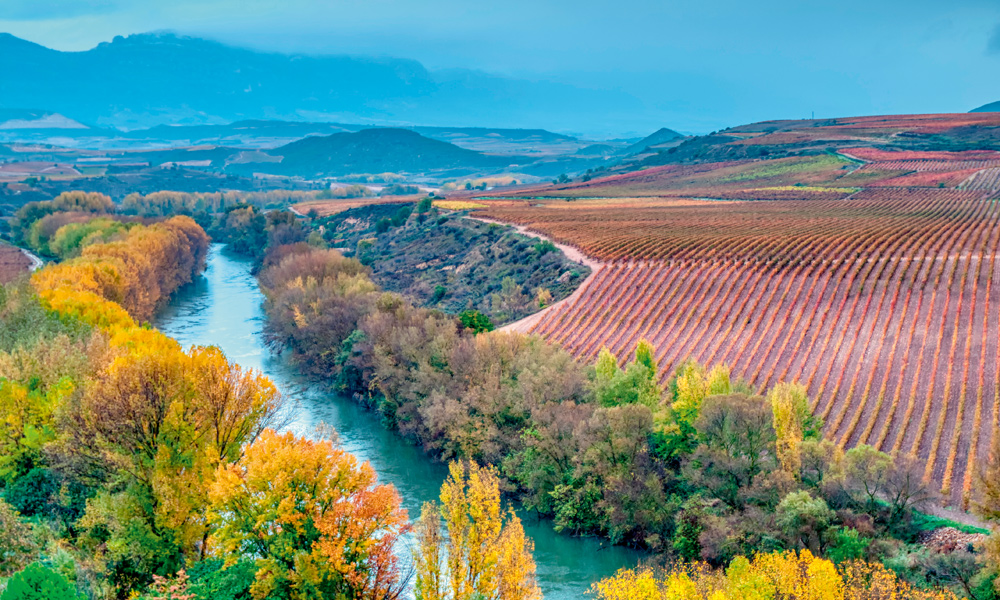 Dark clouds loom over Rioja—rain threatens the harvest. (Photo: StockPhotoAstur/stock.adobe.com (Javier Castro))  