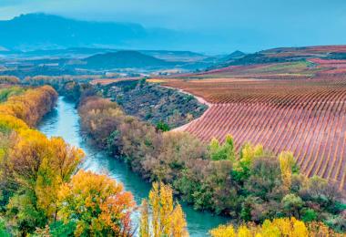 Dark clouds loom over Rioja—rain threatens the harvest. (Photo: StockPhotoAstur/stock.adobe.com (Javier Castro))  