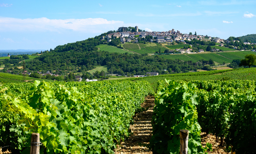 A large proportion of French vineyards are cultivated by co-operative winegrowers. Some of them are struggling with major economic difficulties. (Photo: barmalini/stock.adobe.com)