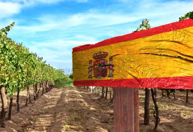 More and more inexpensive wines from Spain's vineyards are being exported. (Photo: Luiz Ribeiro/stock.adobe)