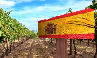More and more inexpensive wines from Spain's vineyards are being exported. (Photo: Luiz Ribeiro/stock.adobe)