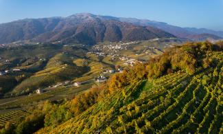 The Prosecco hill country is a popular destination for overnight guests. (Photo: Conegliano Valdobbiandene Prosecco Superiore DOCG Consortium)
