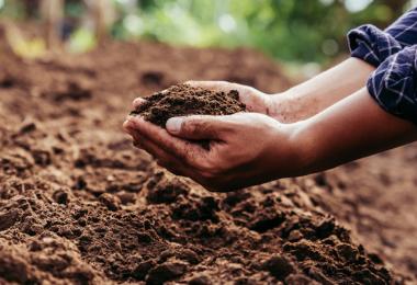 The EU wants healthier soils (Photo: Kannapat/stock.adobe.com)