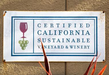 Sustainability is a leading topic in California. (Photo: California Wine Institute)