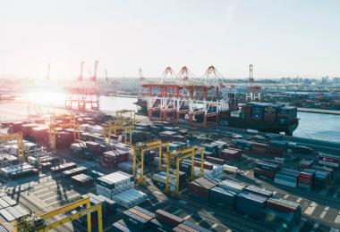 The developments in export markets for German wine are uneven. (Image: kokouu/DB Schenker)