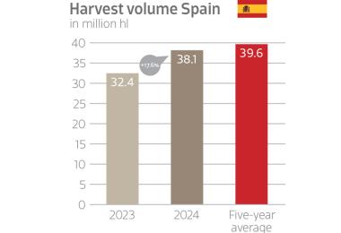 The harvest volume in Spain is recovering. (Source: MAPA)