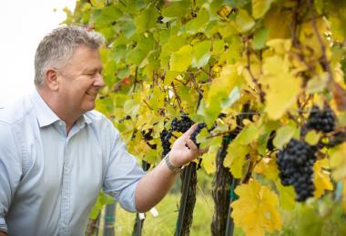 Chris Yorke examines grapes in a promising vineyard site (Photo: ÖWM/Anna Stöcher)
