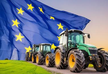 CEEV calls for agriculture to have more influence on EU policy. (Photo: created with Adobe Firefly AI)