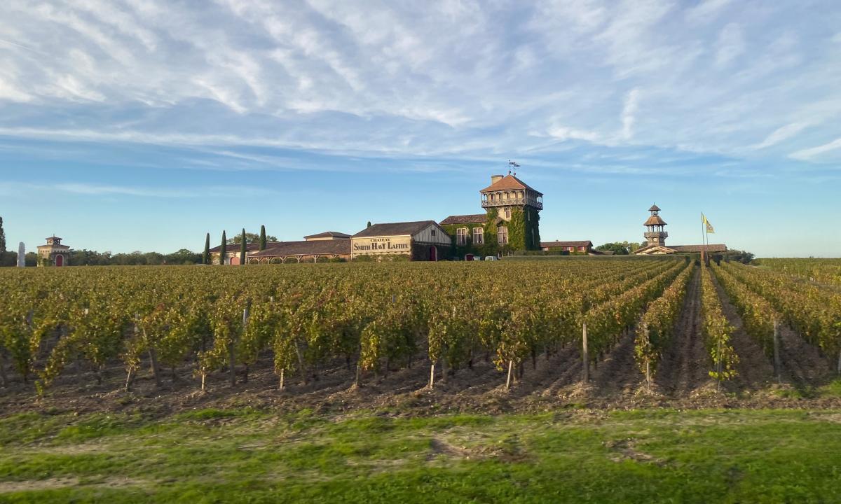 Today, the lesser-known producers can hardly benefit from the image projected by the top Châteaux at the forefront, such as Château Smith Haut Lafitte in Pessac-Léognan.