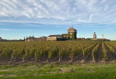 Today, the lesser-known producers can hardly benefit from the image projected by the top Châteaux at the forefront, such as Château Smith Haut Lafitte in Pessac-Léognan.