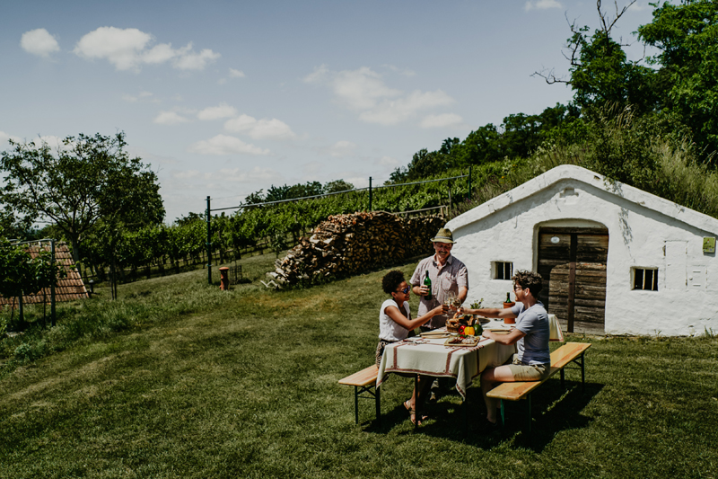 In the domestic market, Austrian wine clearly dominates, despite some declines. (Photo: © ÖWM / 1000things, Katharina Tesch)